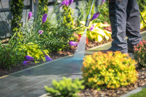 Best Restaurant Pressure Washing  in Lakewood Park, TN