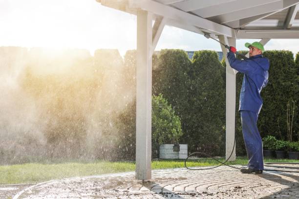 Best Boat and Dock Cleaning  in Lakewood Park, TN