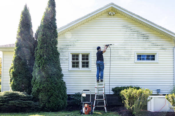 Best Roof Washing  in Lakewood Park, TN
